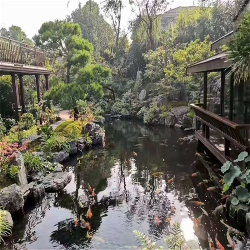 京口庭院小型鱼池假山图片
